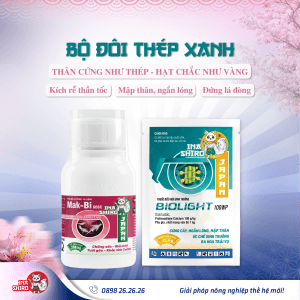 Bộ giải pháp Inashiro: Phân bón Mak-bi 60SC và Biolight 100WP