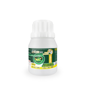 Thuốc trừ bệnh Myscole 30SC
