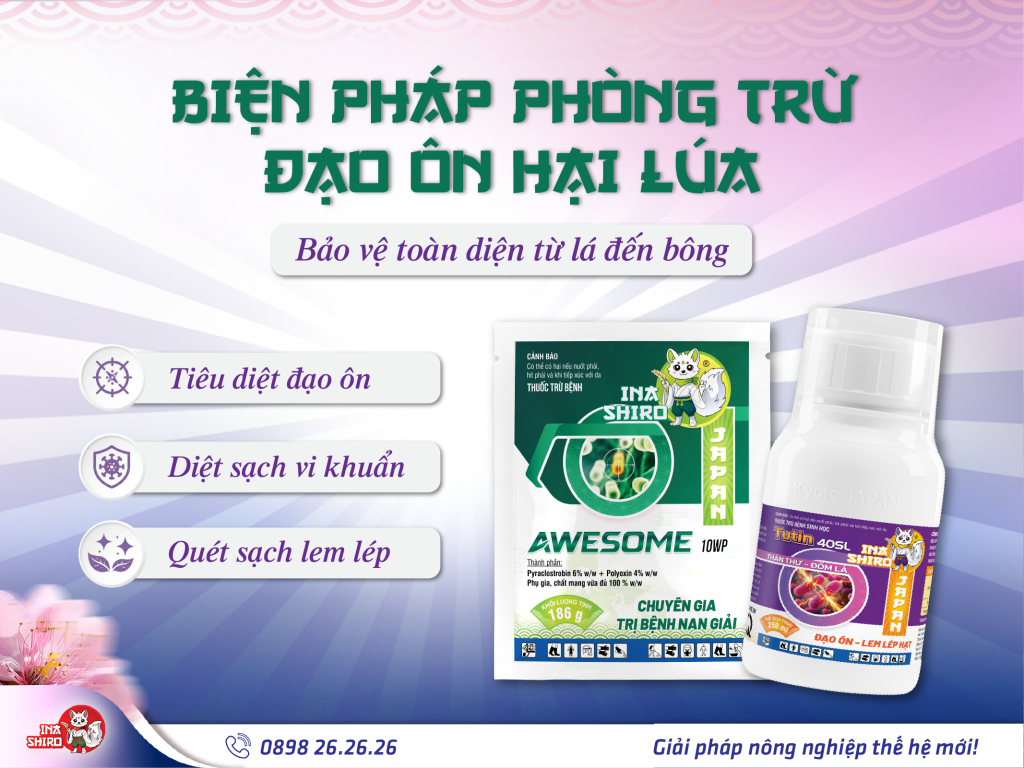 Biện pháp phòng trừ đạo ôn hại lúa từ Inashiro: Tutin 40SL và Awesome 10WP