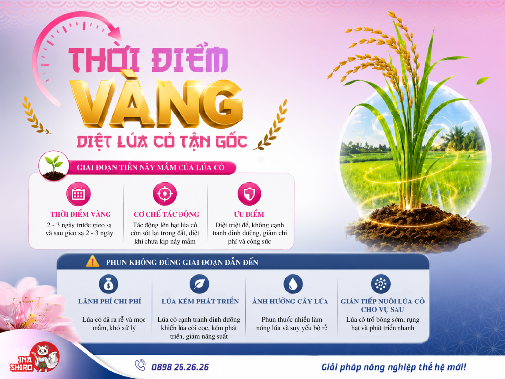 Thời điểm vàng diệt lúa cỏ tận gốc
