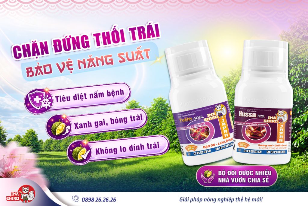 Chặn đứng thối trái sầu riêng với bộ giải pháp từ Inashiro: Thuốc trừ bệnh Hussa 722SL và Tutin 40SL