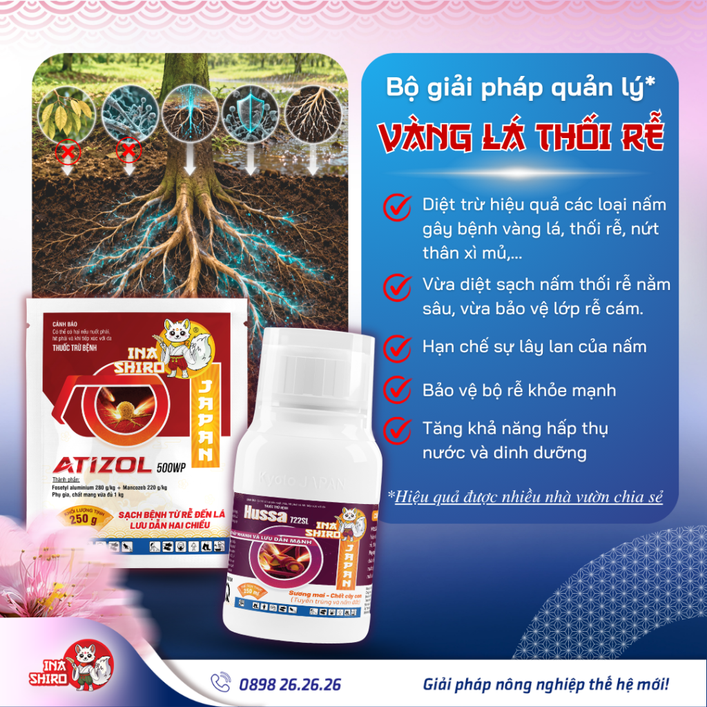 Bộ giải pháp phòng trị bệnh vàng lá thối rễ trên cây sầu riêng: HUSSA 722SL + ATIZOL 500WP