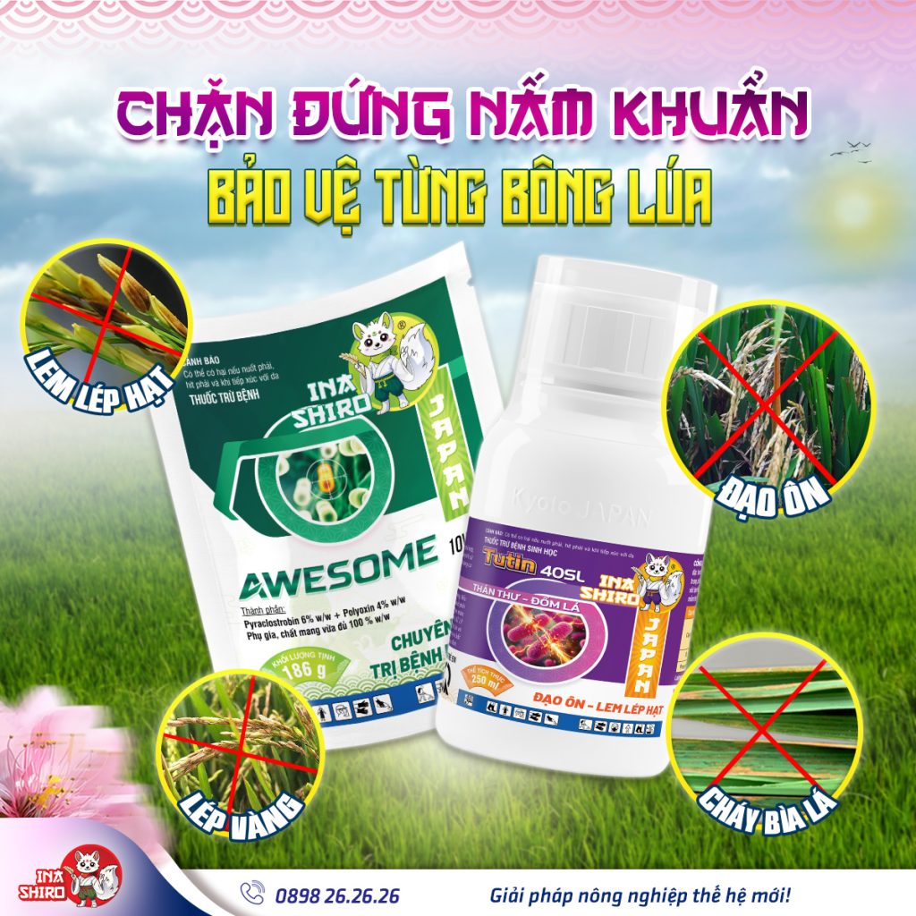 Chủ động phòng bệnh, chặn đứng nấm khuẩn gây hại lúa với bộ đôi Tutin 40SL và Awesome 10WP
