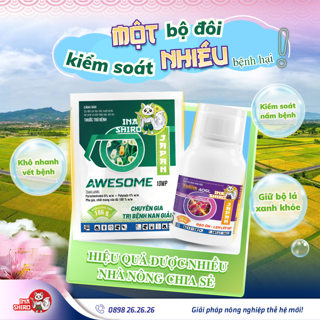 Bộ đôi thuốc trừ bệnh TUTIN 40SL + AWESOME 10WP giúp phòng trị nhiều loại bệnh do nấm và vi khuẩn gây hại. Phòng trị lép vàng vi khuẩn hiệu quả