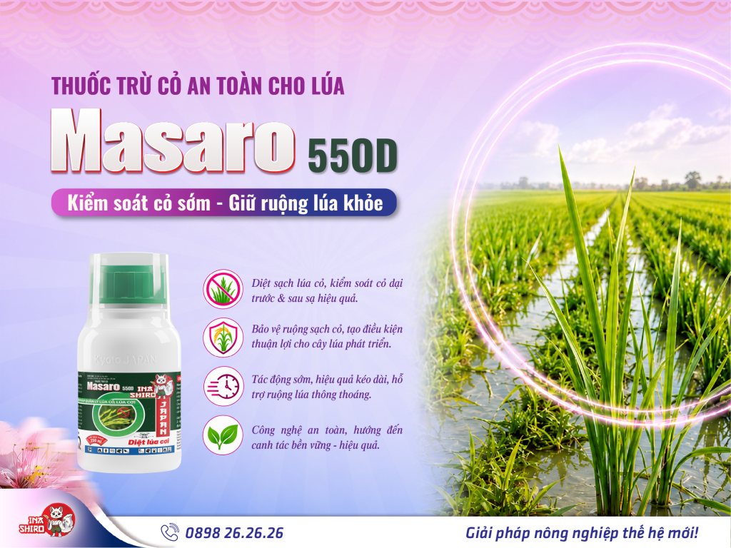 Thuốc trừ cỏ an toàn cho lúa MASARO 55OD