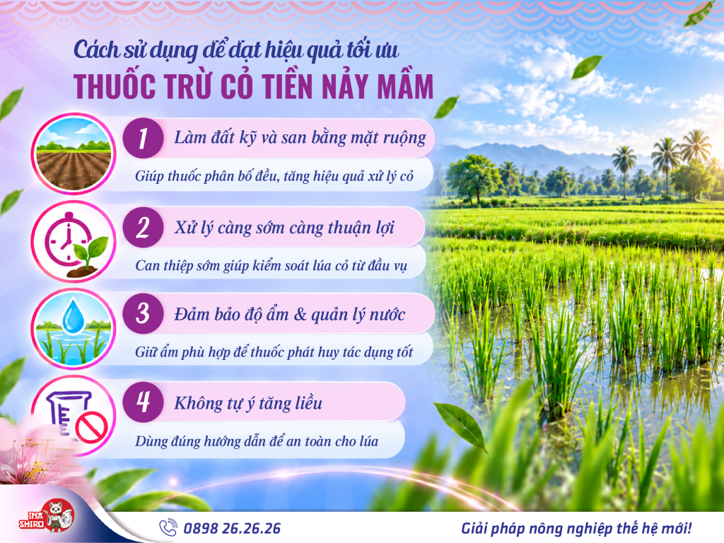 Cách sử dụng thuốc trừ cỏ tiền nảy mầm MASARO 55OD đúng cách để đạt hiệu quả tối ưu