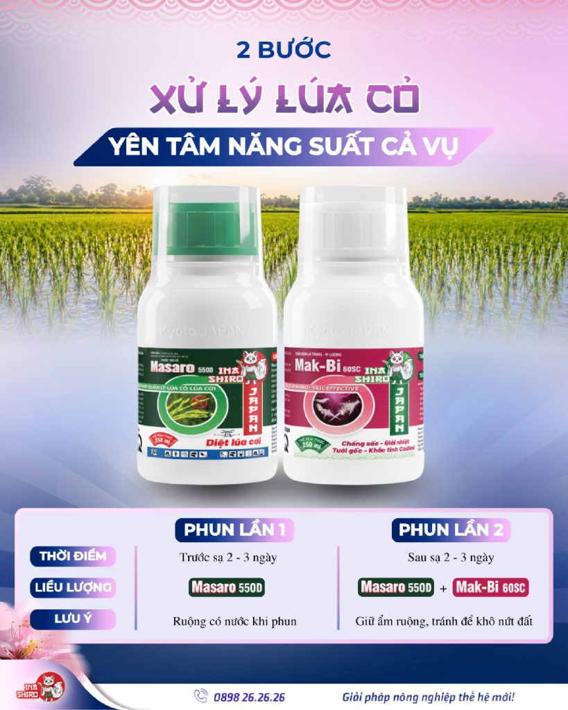2 bước diệt lúa cỏ hiệu quả ngay từ đầu vụ với bộ đôi Masaro 55OD + Mak-bi 60SC
