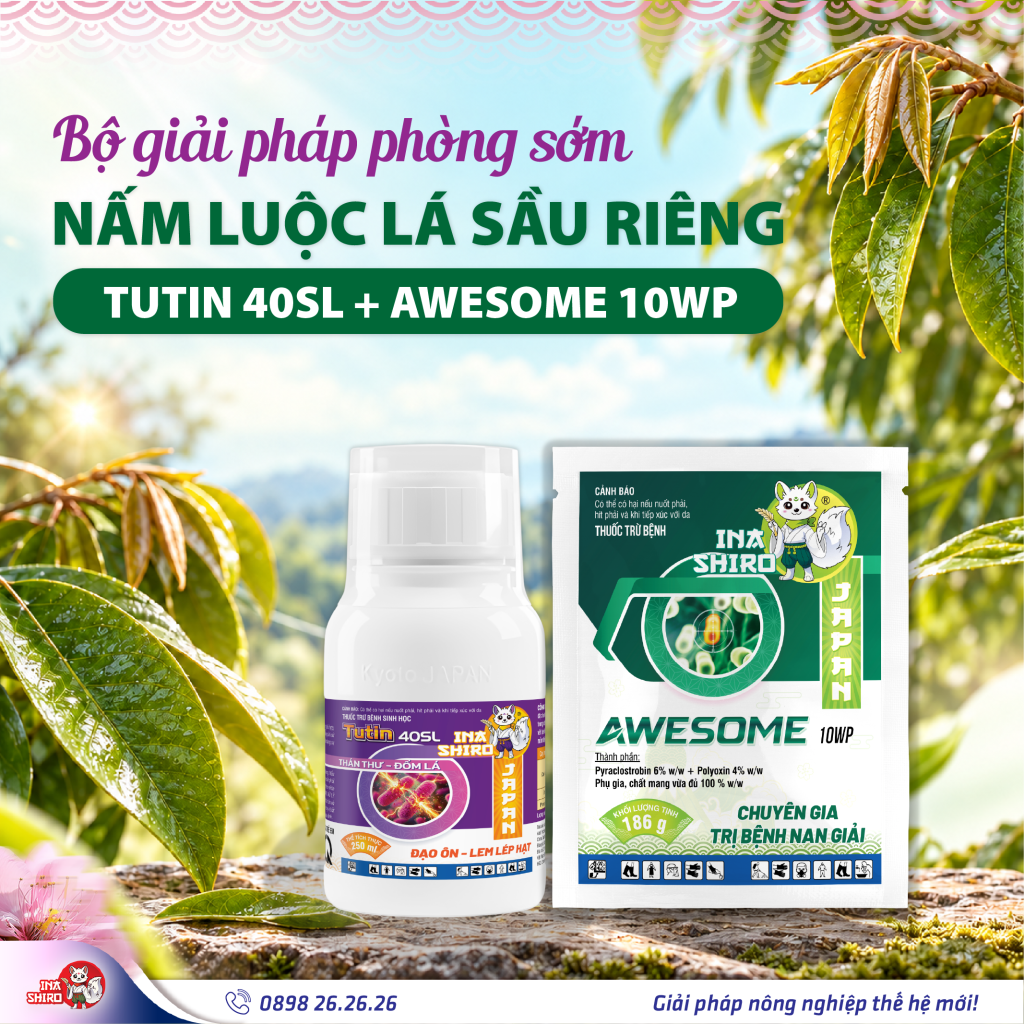 Bộ giải pháp bảo vệ cơi đọt, phòng sớm bệnh nấm luộc lá sầu riêng: Thuốc trừ bệnh TUTIN 40SL + AWESOME 10WP