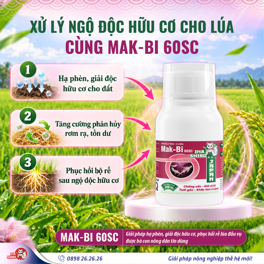 Xử lý ngộ độc hữu cơ trên lúa cùng phân bón lá Mak-bi 60SC