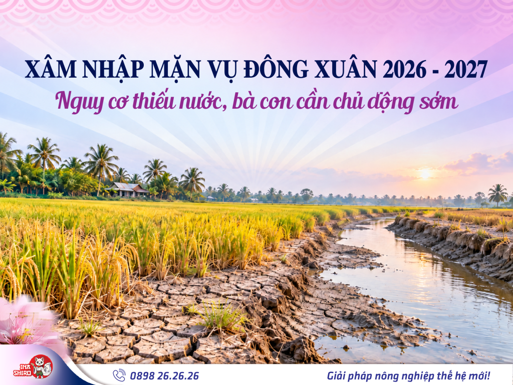 Xâm nhập mặn vụ Đông Xuân 2026-2027 nguy cơ bị thiếu nước, bà con cần chủ động sớm